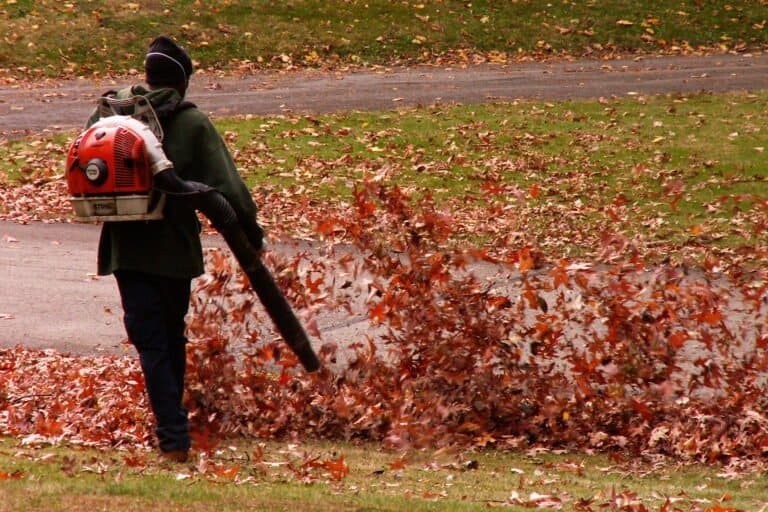 Fall leaves being cleared off a lawn