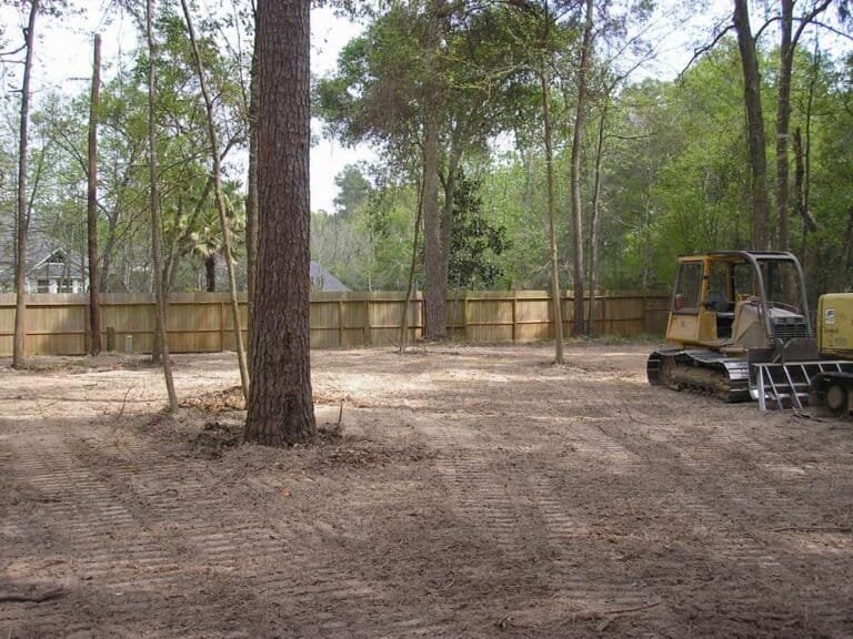 Yard cleared of brush and heavy debris