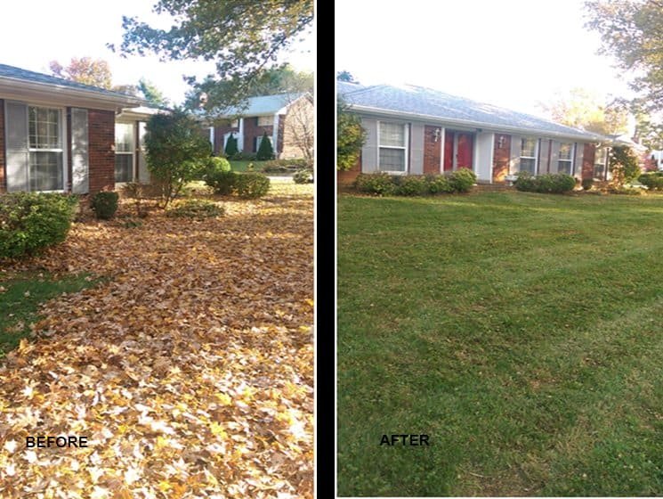 Fall lawn cleanup before and after Grande Prairie AB