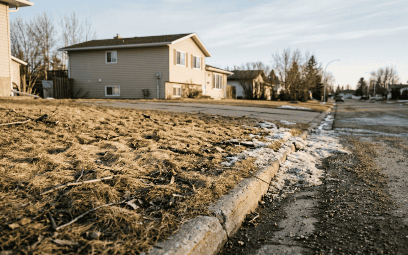 What Winter Left Behind: The True Cost of Skipping Your Spring Cleanup in Grande Prairie